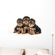 Three Yorkie Puppies on White Background Wall Decal