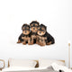 Three Yorkie Puppies on White Background Wall Decal