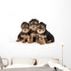 Three Yorkie Puppies on White Background Wall Decal