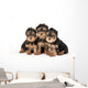 Three Yorkie Puppies on White Background Wall Decal