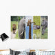 African Animals Wall Mural