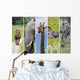 African Animals Wall Mural