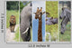 African Animals Wall Mural