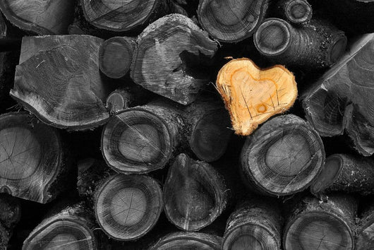 Love Tree Wall Mural