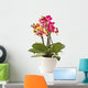 blooming phalaenopsis Wall Decal