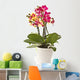 blooming phalaenopsis Wall Decal
