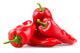 Red chilli peppers on white background Wall Decal
