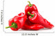 Red chilli peppers on white background Wall Decal