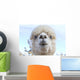 Funny Face White Blue-Eyed Wall Decal