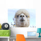Funny Face White Blue-Eyed Wall Decal