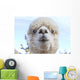 Funny Face White Blue-Eyed Wall Decal