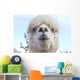 Funny Face White Blue-Eyed Wall Decal