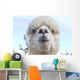 Funny Face White Blue-Eyed Wall Decal