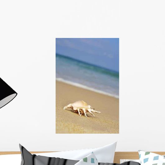 Sea Shell Shore Wall Decal