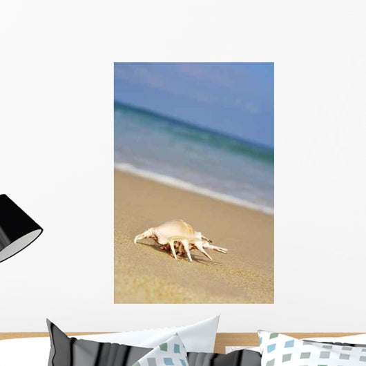 Sea Shell Shore Wall Decal