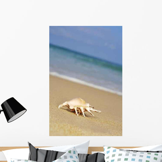 Sea Shell Shore Wall Decal