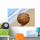 Cracked Coconut Wall Decal