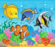 Fish Theme Image 3