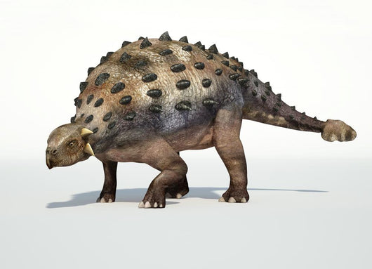 Photorealistic 3 D rendering of an Ankylosaurus. Wall Decal