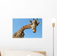 Giraffe Wall Mural