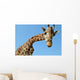 Giraffe Wall Mural