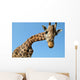 Giraffe Wall Mural