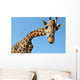 Giraffe Wall Mural