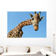 Giraffe Wall Mural