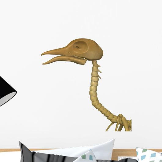 Bird Skeleton Wall Decal