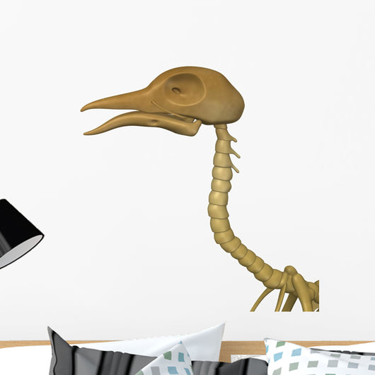 Bird Skeleton Wall Decal