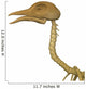 Bird Skeleton Wall Decal