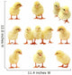 Easter Chick - Isolated Set Wall Decal