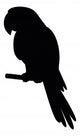 Parrot Pole Silhouette