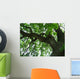 800 year oak tree Wall Mural