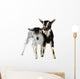 Little Goat Isolated Wall Decal