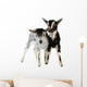 Little Goat Isolated Wall Decal