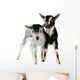 Little Goat Isolated Wall Decal