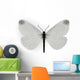 Leptidea Sinapis Butterfly Wall Decal
