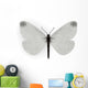 Leptidea Sinapis Butterfly Wall Decal