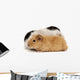 Guinea Pig Wall Decal