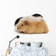 Guinea Pig Wall Decal
