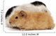 Guinea Pig Wall Decal