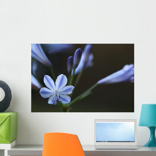 Agapanthus Wall Decal