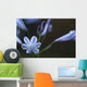 Agapanthus Wall Decal