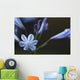 Agapanthus Wall Decal