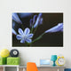 Agapanthus Wall Decal