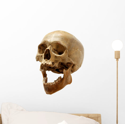 Skull of the person. Wall Decal
