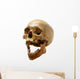 Skull of the person. Wall Decal