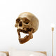 Skull of the person. Wall Decal