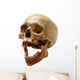 Skull of the person. Wall Decal